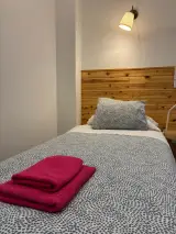 Baño con ducha de cristal, inodoro y secador de pelo de pared de la Habitación Individual
